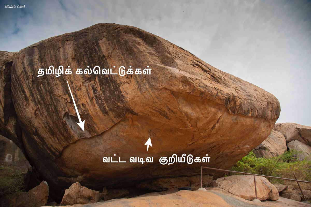 தமிழியைத் தேடி – 9 : திருவாதவூர் 