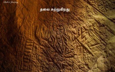 எடக்கல் அதிசயங்கள்….